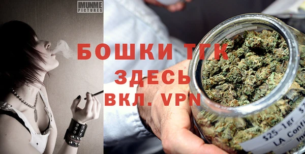 2c-b Горно-Алтайск