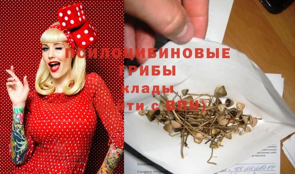 дурь Володарск