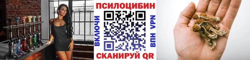 закладки  Данилов  Галлюциногенные грибы мицелий 